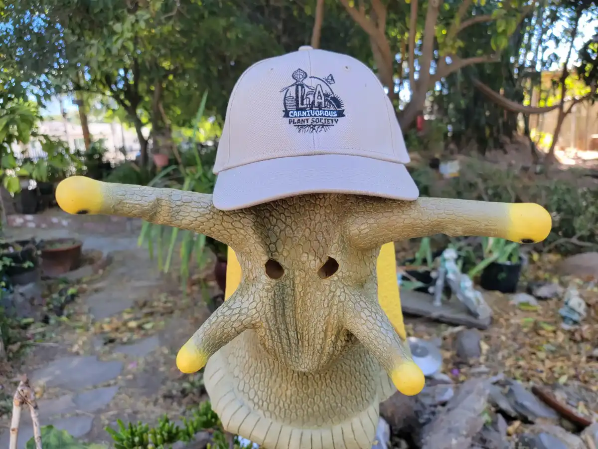 Embroidered Los Angeles Carnivorous Plant Society hat on slub